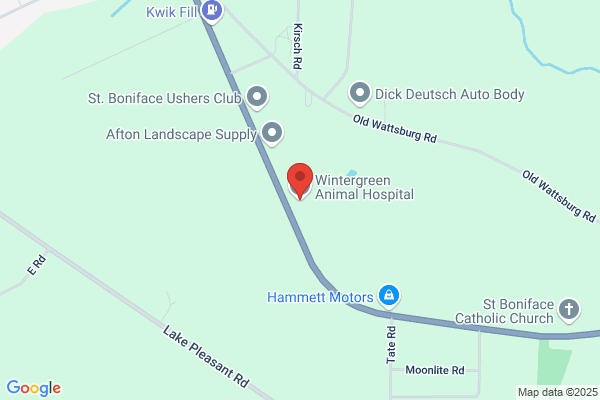 Wintergreen Animal Hospital