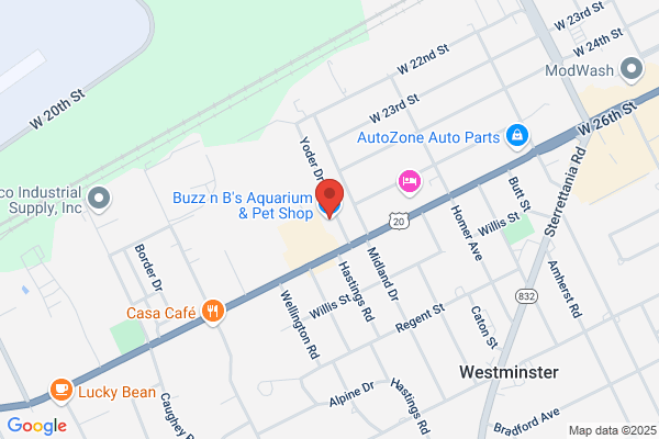 Buzz n B's Aquarium & Pet Shop