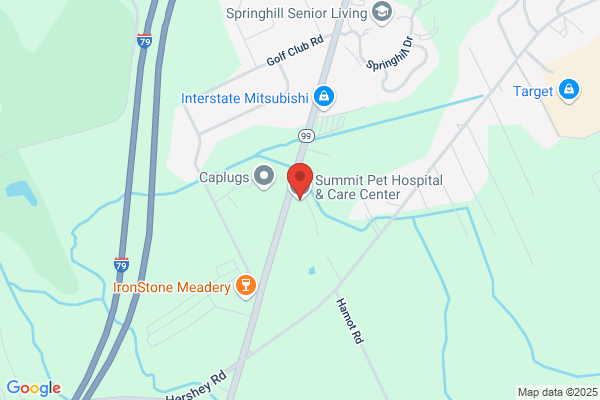 Summit Pet Hospital & Care Center