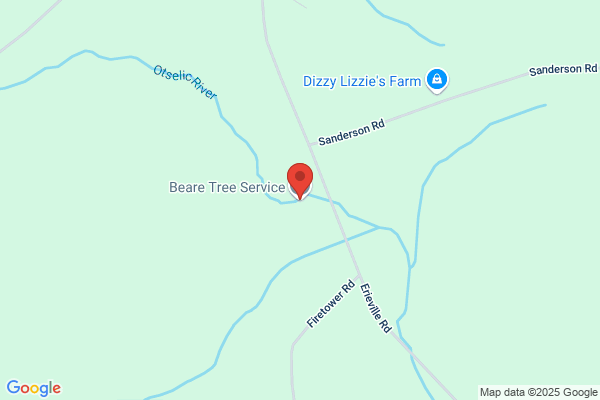 Beare Tree Service