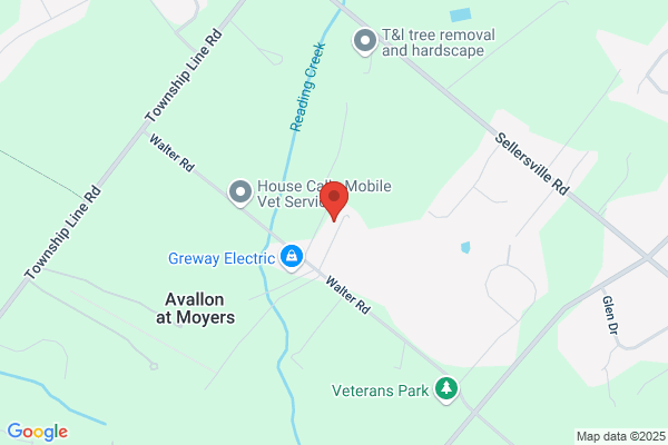 Double Eagle Services