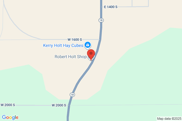 Holt Robert