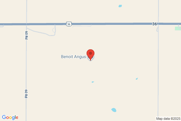 Benoit Everett Angus Farms