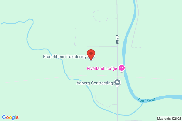 Blue Ribbon Taxidermy