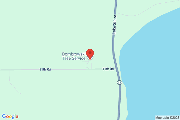 Dombrowski Tree Service