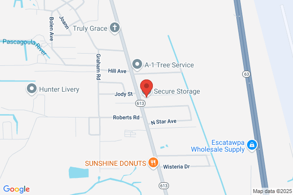 Secure Storage Inc
