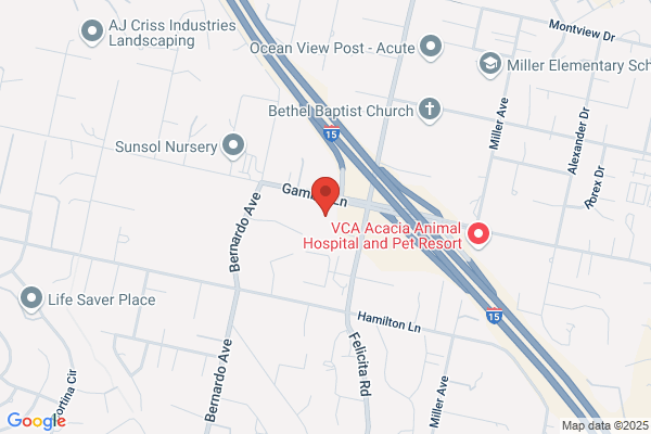 The Church of Jesus Christ of Latter-day Saints