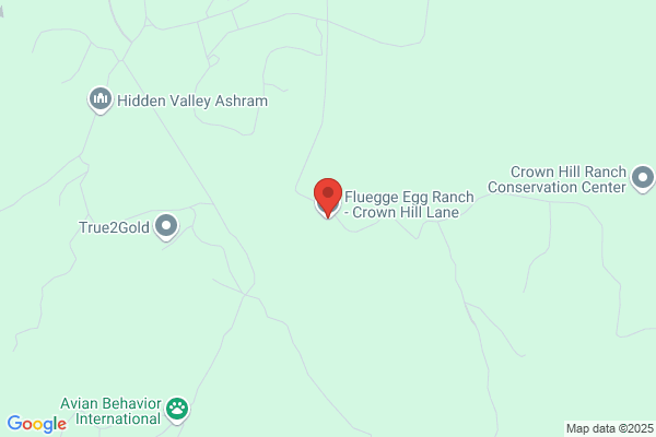 Fluegge Egg Ranch