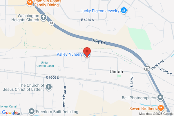 Elfin Valley Nursery