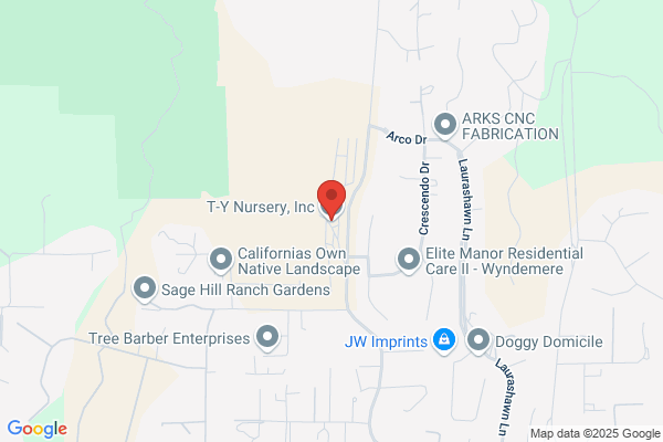 Evergreen Nursery