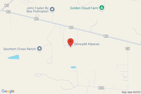 West Valley Alpacas