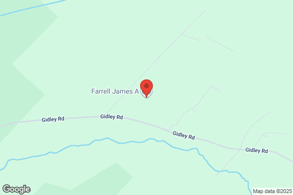 Farrell James A