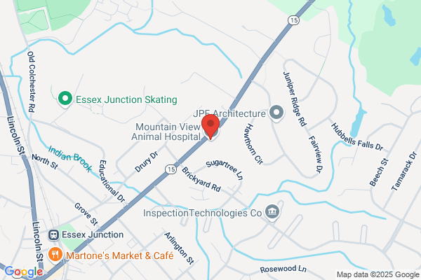 Large Animal Medical Associates