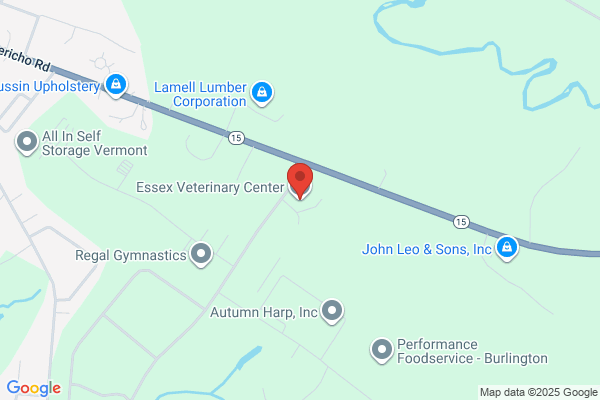 Essex Veterinary Center