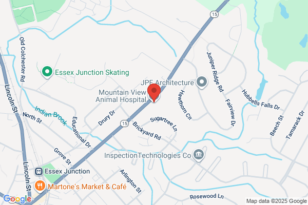 Mountain View Animal Hospital