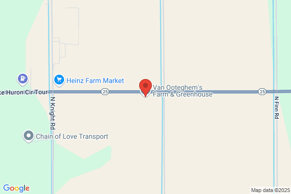 Thompson Cini Llc