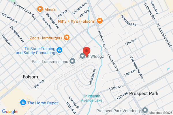 AMD Property Restorations