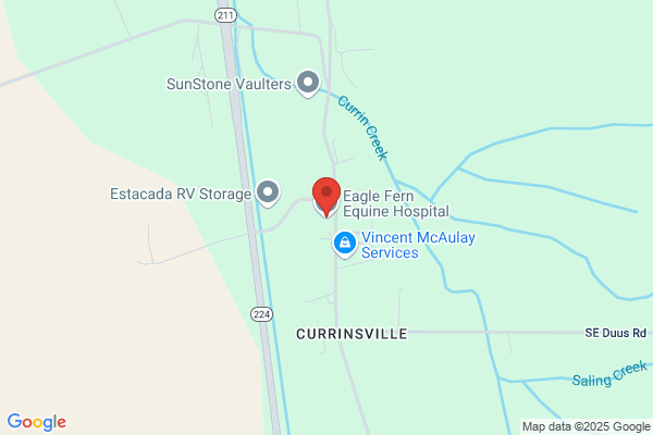 Eagle Fern Veterinary Hospital PC