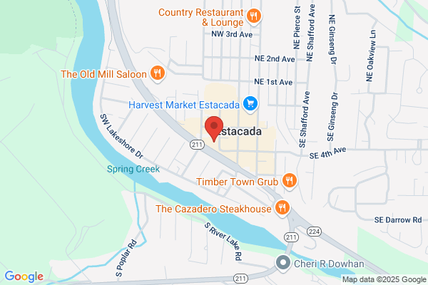 Napa Auto & Truck Parts