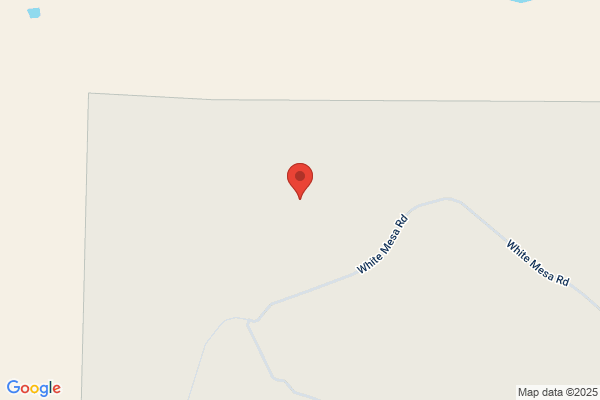 White Mesa Inc