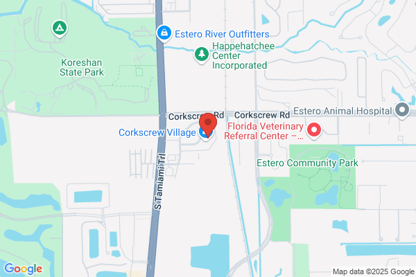 Publix Pharmacy at Corkscrew Village