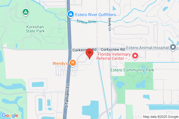 Publix Pharmacy at Corkscrew Village