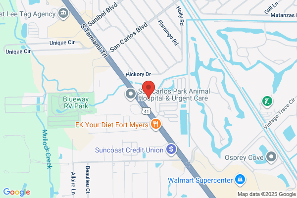 Naples Pharmacy Services