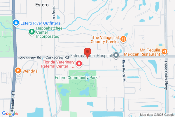 Florida Gulf Coast Hearing Center
