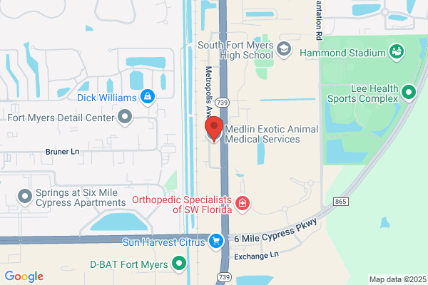 Gulf Coast Orthodontics