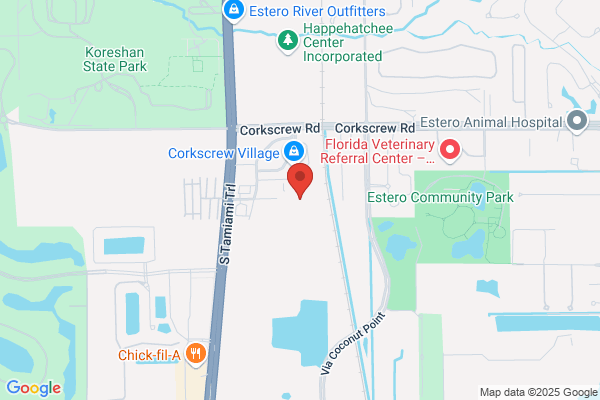 Corkscrew Village Self Storage LLC