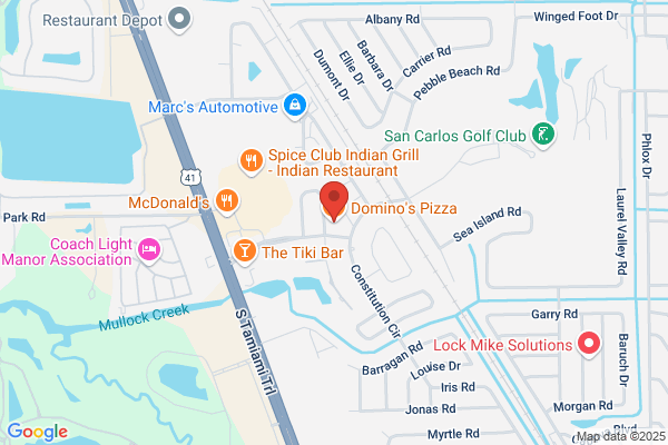 Domino's Pizza