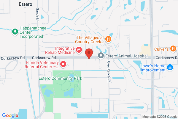 Realty Executives Bonita Springs