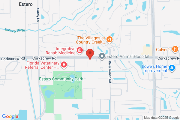 Realty World-Florida