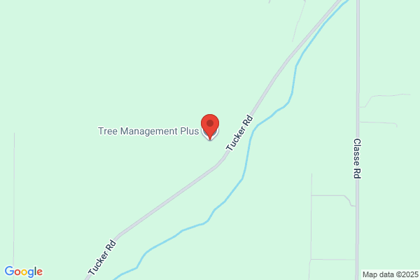 Tree Management Plus, Inc.
