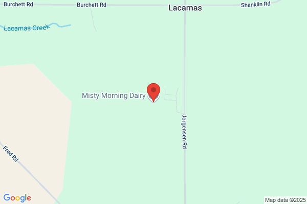 Lady Wood's Holsteins