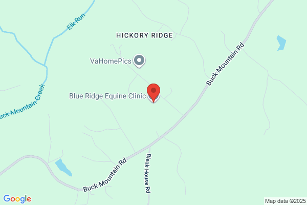 Blue Mountain Equine Service