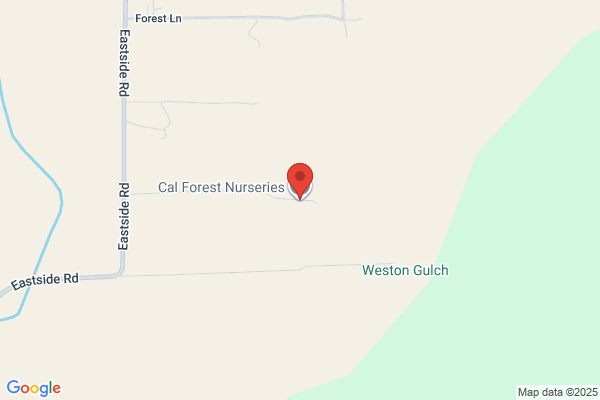 Cal Forest Nurseries
