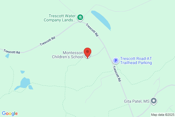 Montessori Children's School