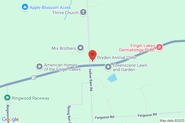 Dryden Animal Clinic