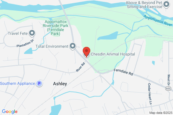 Chesdin Animal Hospital