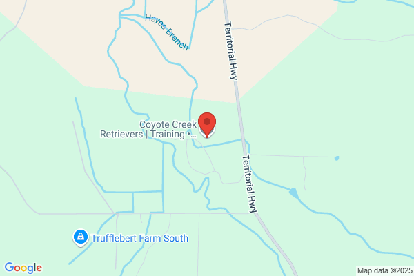 Coyote Creek Retrievers