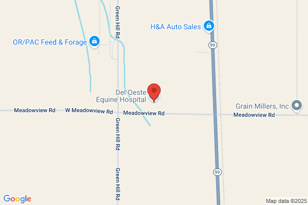 Del Oeste Equine Hospital Llc