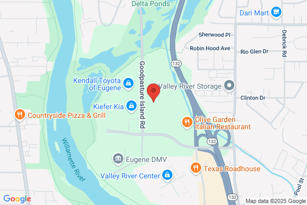 Kendall Auto Group