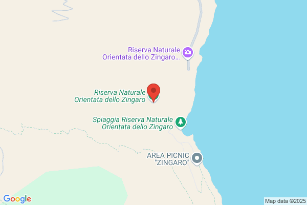 The Zingaro