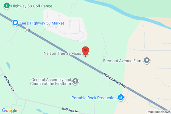 Nelson Tree Services Inc