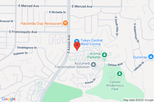 South Hills Veterinary Clinic