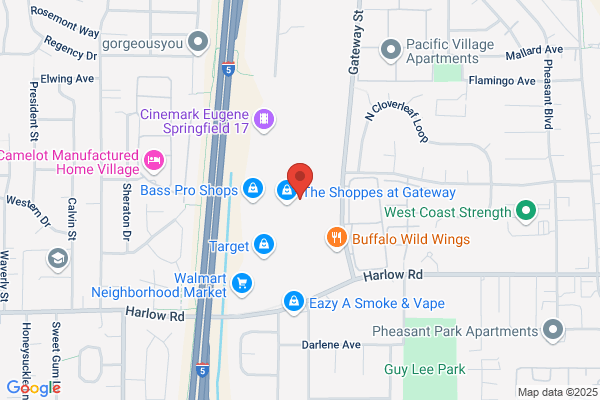 All American Frozen Yogurt Shops