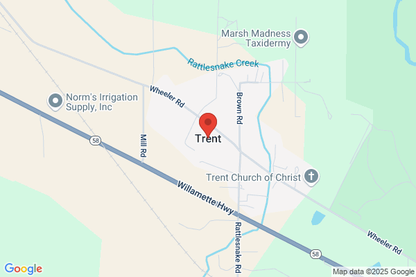 Trent Inc