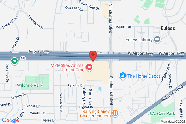 Euless Gold & Silver Inc