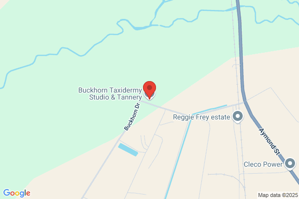 Buckhorn Taxidermy Studio